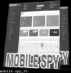 Spyware and Mobile Phones