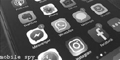 Cell Phone Spyware Detection and Removal 2019