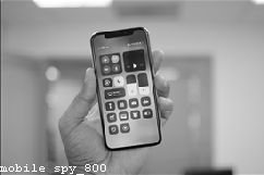 Mobile Spy App for Personal Catch Cheating Spouse