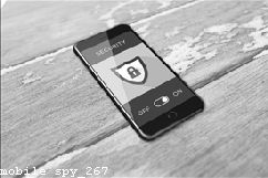 Mobile Spy Price