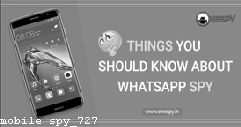 Karbonn Spy Camera Mobile