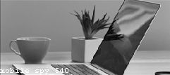 Cell Phone Spy Cam App