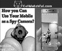 Spyware on Phone Without Physical Access